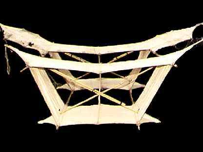 Cody,from behind 13kB jpg