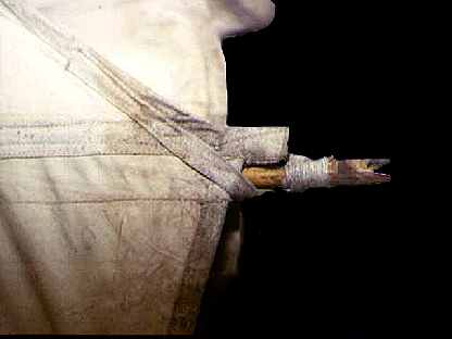 bamboo tip  10kB jpg