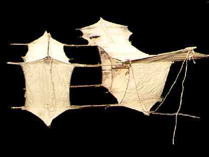 Cody, side view  11kB jpg