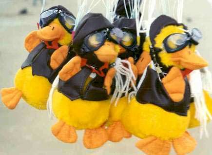 "Pato-caidistas"